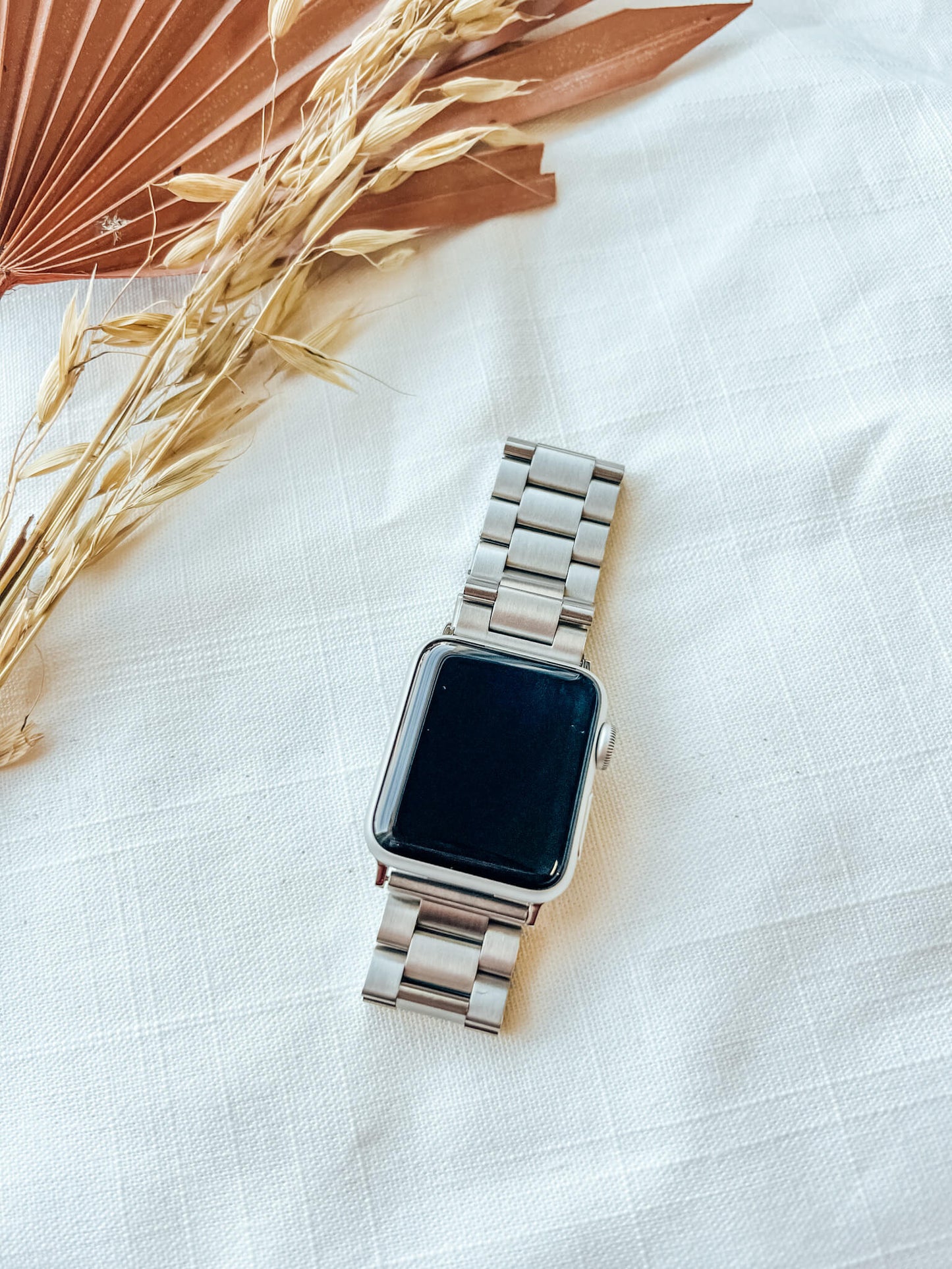 Stainless Steel Apple Watch Band