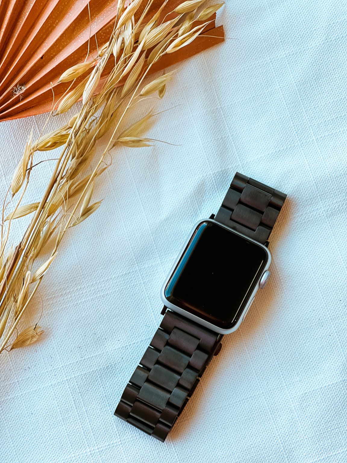 Stainless Steel Apple Watch Band