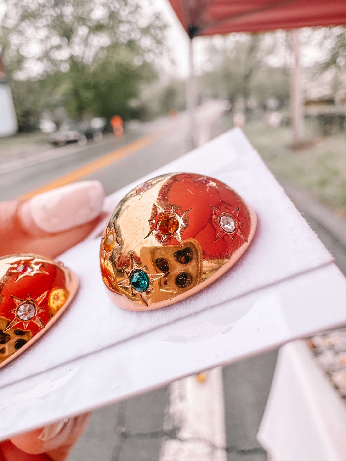 Multicolor Ladybug Earrings